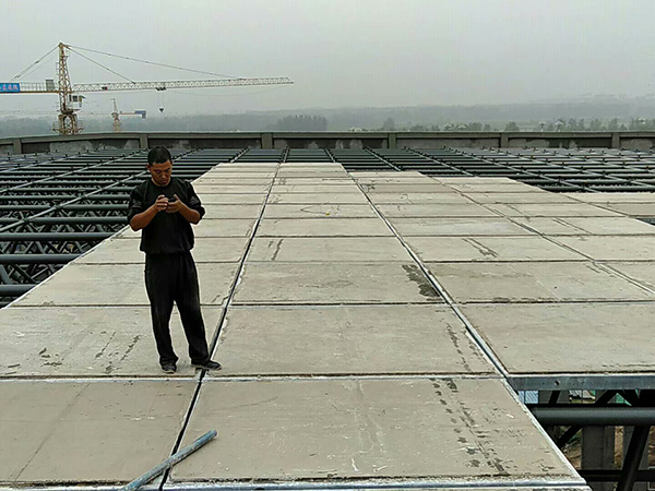 山東齊河孵化基地廠房鋼骨架輕型網(wǎng)架板
